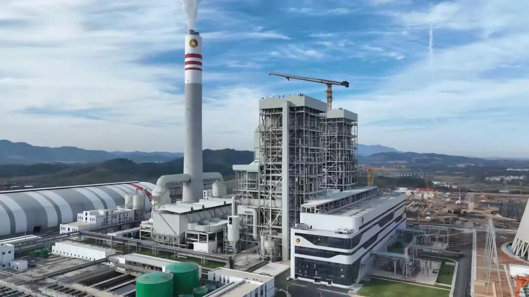 1780887104422027398